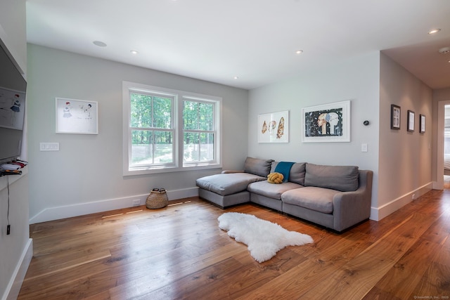 85 W Church Hill Rd, Washington, CT 06794 - living room featuring wood-type flooring and recessed lighting