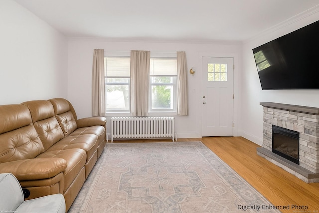 96 Kenwood Ave, Fairfield, CT 06824 - living area featuring radiator, light wood finished floors, crown molding, and a fireplace