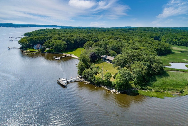 41 Watrous Point Rd, Old Saybrook, CT 06475 - photo 4
