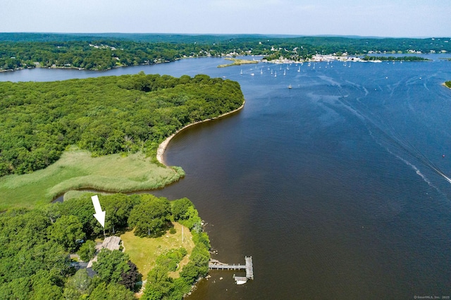41 Watrous Point Rd, Old Saybrook, CT 06475 - photo 5
