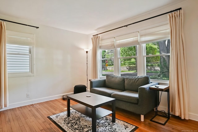 15 Granite Ter, Ansonia, CT 06401 - living room with wood-type flooring and baseboards
