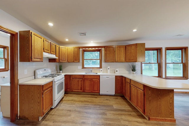 20 Hickory St, Danbury, CT 06810 - kitchen with white appliances, under cabinet range hood, a peninsula, light wood-style floors, and tasteful backsplash