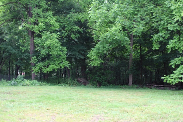 51 Main St, Thompson, CT 06255 - view of yard featuring a forest view