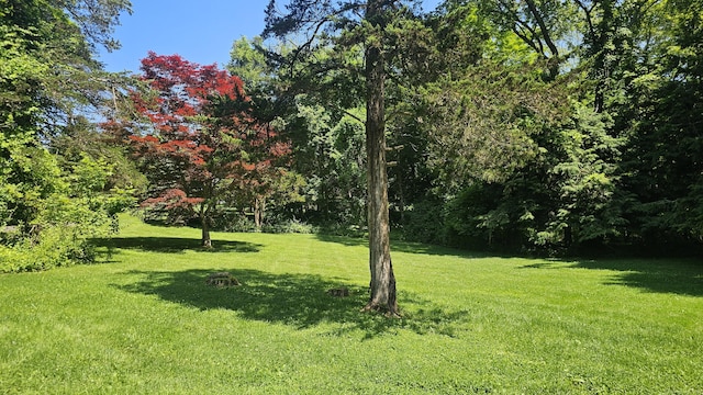 205 Luther Dr, Southbury, CT 06488 - view of grassy yard