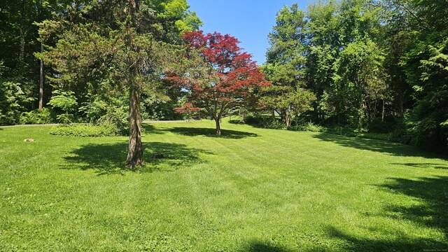 205 Luther Dr, Southbury, CT 06488 - view of grassy yard