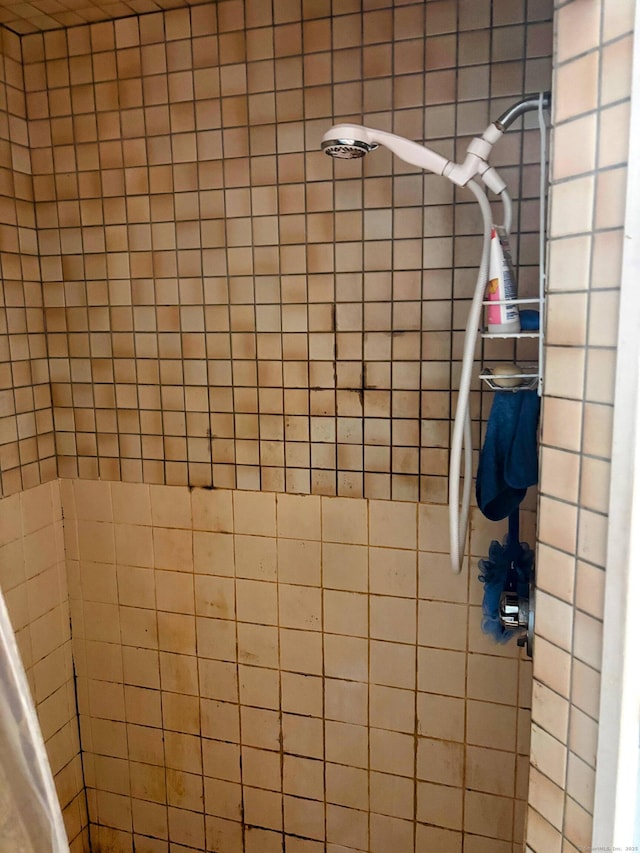 92 Main St Apt 102, Deep River, CT 06417 - bathroom view of a tile shower
