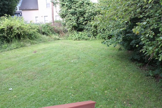 120 Linsley Ave, Meriden, CT 06451 - view of green lawn