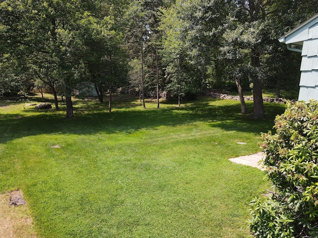 35 Corey Ln, East Lyme, CT 06357 - view of green lawn