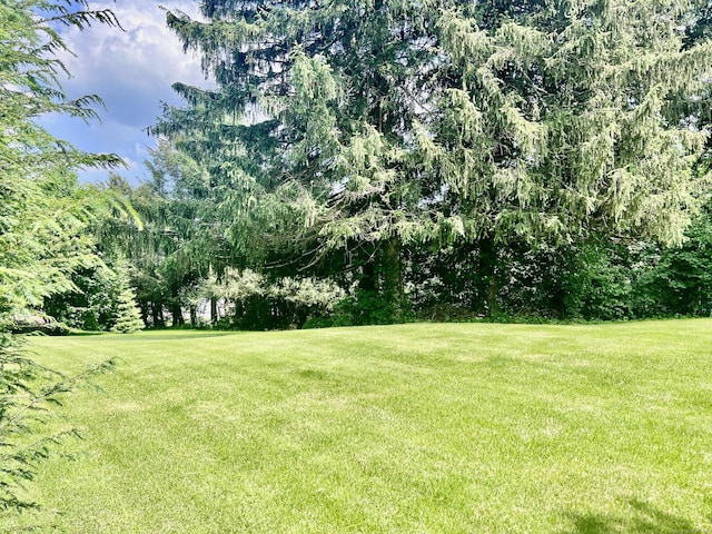239 Bates Dr, Cheshire, CT 06410 - view of green lawn