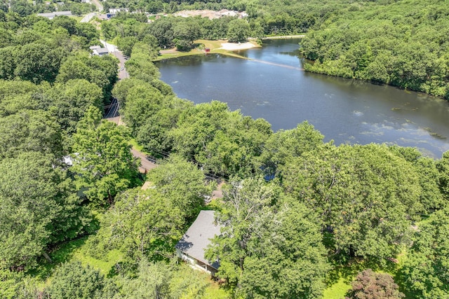 510 Sylvan Lake Rd, Watertown, CT 06779 - aerial view of a large body of water and a heavily wooded area