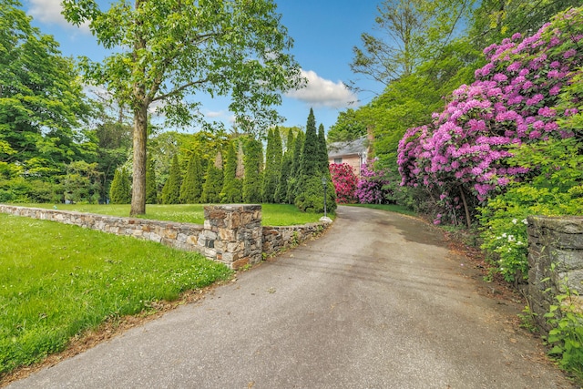 5550 Main St, Stratford, CT 06614 - view of asphalt driveway