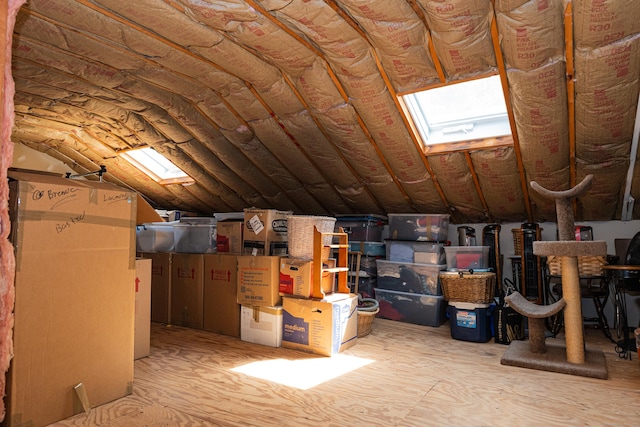 76 Highland Dr Unit 76, Monroe, CT 06468 - unfinished attic with a skylight