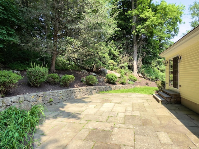 6 Jeffro Dr, Ridgefield, CT 06877 - view of patio / terrace with entry steps