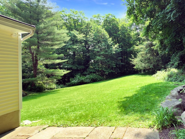 6 Jeffro Dr, Ridgefield, CT 06877 - view of green lawn