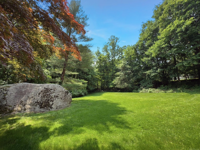 6 Jeffro Dr, Ridgefield, CT 06877 - view of green lawn