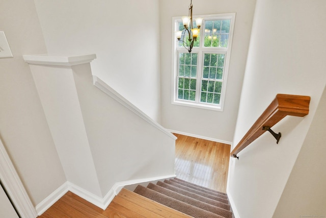 1802 Pinnacle Way Unit 1802, Danbury, CT 06811 - stairway with wood finished floors and a chandelier