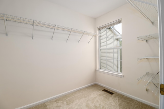 2303 Eaton Ct Unit 2303, Danbury, CT 06811 - walk in closet featuring carpet
