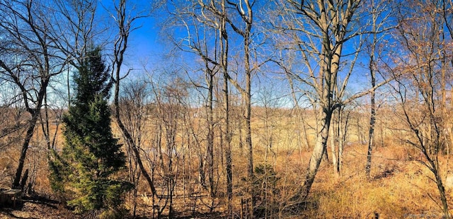 50 Howe St, Milford, CT 06460 - view of woods