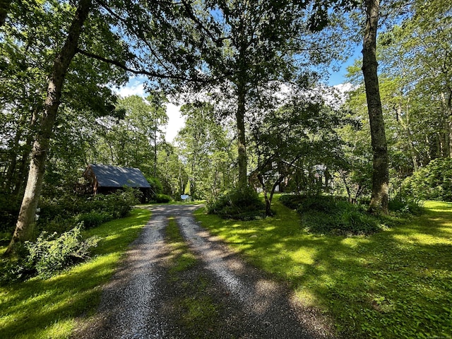 364 Locust Rd, Harwinton, CT 06791 - view of street