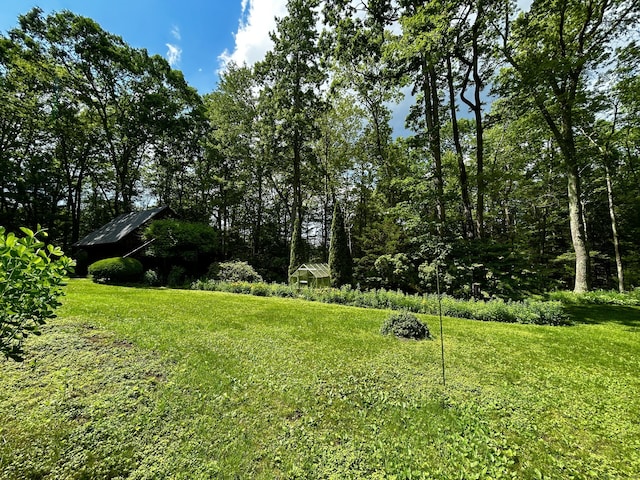 364 Locust Rd, Harwinton, CT 06791 - view of grassy yard