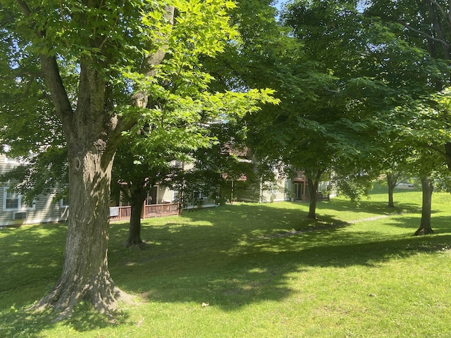 5 Woodside Ave Unit D41, Danbury, CT 06810 - view of grassy yard