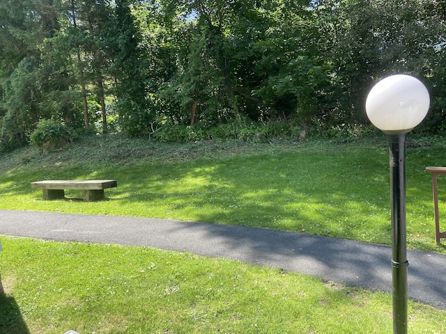 5 Woodside Ave Unit D41, Danbury, CT 06810 - view of community featuring a lawn