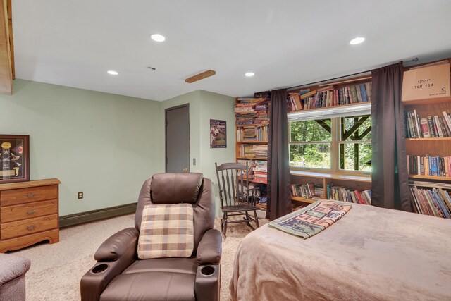 51 Candlewood Mountain Rd, New Milford, CT 06776 - photo 33