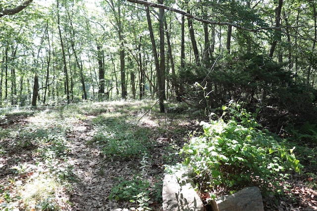 110R Bloomingdale Rd, Waterford, CT 06375 - view of tree filled area