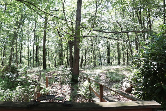 110R Bloomingdale Rd, Waterford, CT 06375 - view of woods
