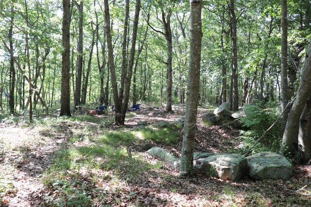 110R Bloomingdale Rd, Waterford, CT 06375 - view of woods