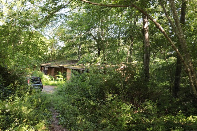 110R Bloomingdale Rd, Waterford, CT 06375 - view of yard with a wooded view