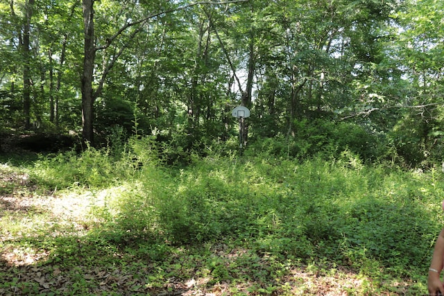 110R Bloomingdale Rd, Waterford, CT 06375 - view of nature