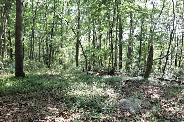110R Bloomingdale Rd, Waterford, CT 06375 - view of woods