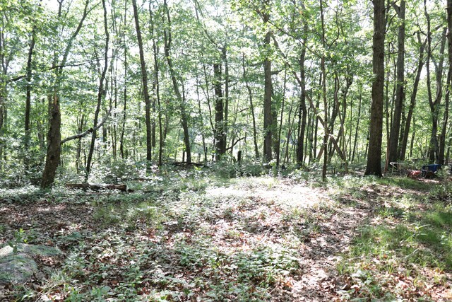 110R Bloomingdale Rd, Waterford, CT 06375 - view of tree filled area