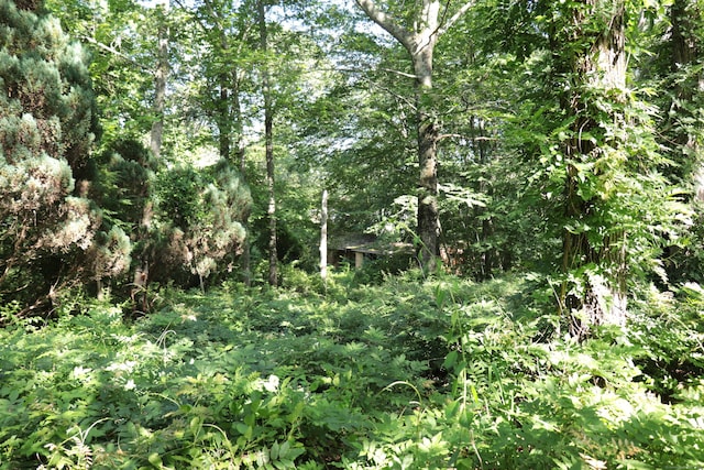110R Bloomingdale Rd, Waterford, CT 06375 - view of local wilderness