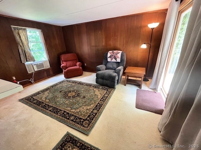 49 Geneva Ave, West Hartford, CT 06107 - living area featuring carpet, cooling unit, and wood walls