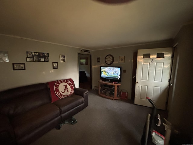 6 Orleans Ave, Killingly, CT 06239 - living room featuring dark colored carpet