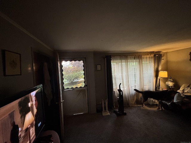 6 Orleans Ave, Killingly, CT 06239 - view of carpeted living area