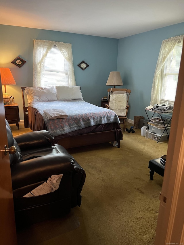 carpeted bedroom with multiple windows
