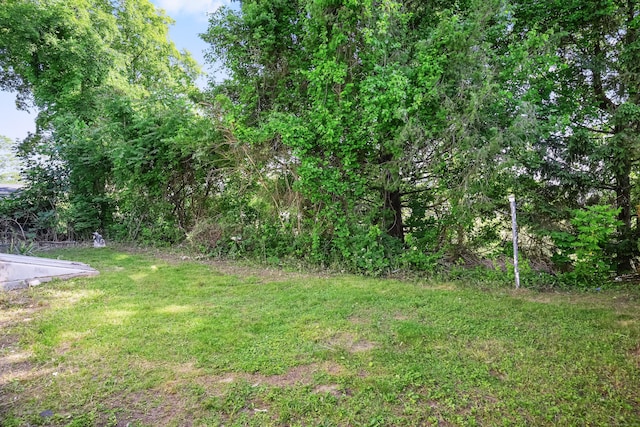 24 S Ave, Danbury, CT 06810 - view of grassy yard