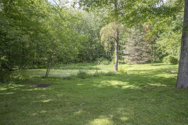 8 Rte 148, Killingworth, CT 06419 - photo 7