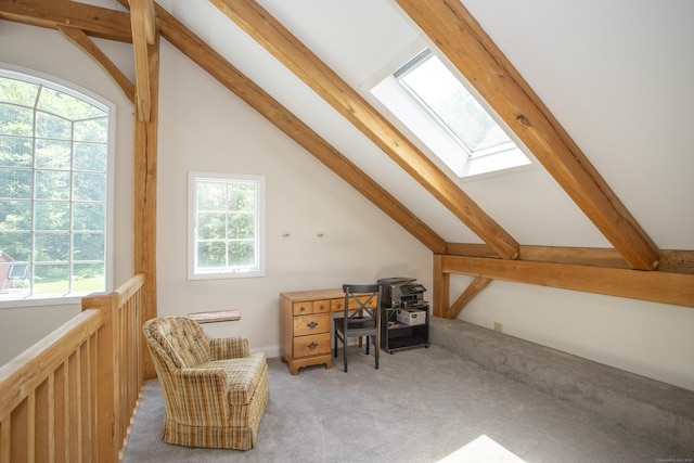 8 Rte 148, Killingworth, CT 06419 - photo 28