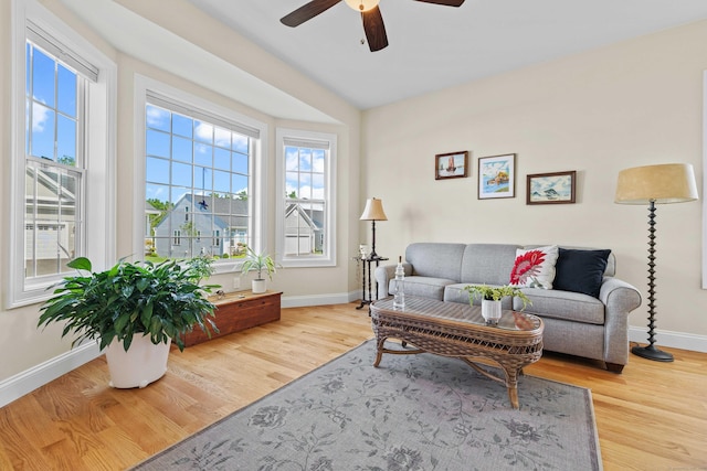 115 Webster Ln Unit 115, Middletown, CT 06457 - living area featuring a ceiling fan and wood finished floors