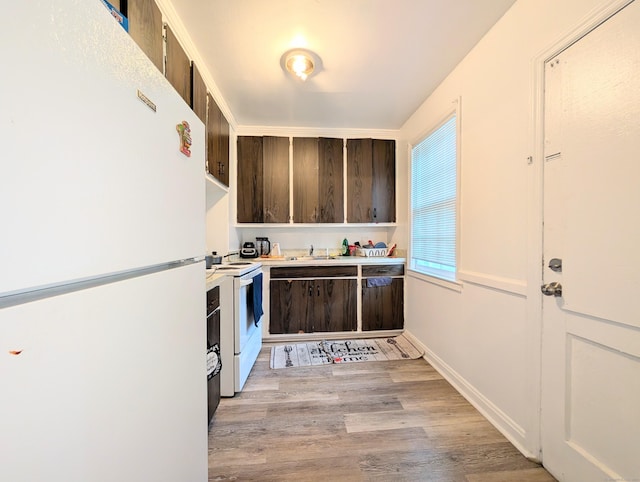 901 William St Apt A, Bridgeport, CT 06608 - kitchen featuring white appliances, dark brown cabinets, light wood-type flooring, and light countertops