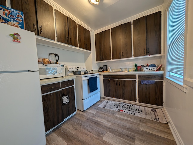 901 William St Apt A, Bridgeport, CT 06608 - kitchen with white appliances, dark brown cabinetry, light countertops, and wood finished floors