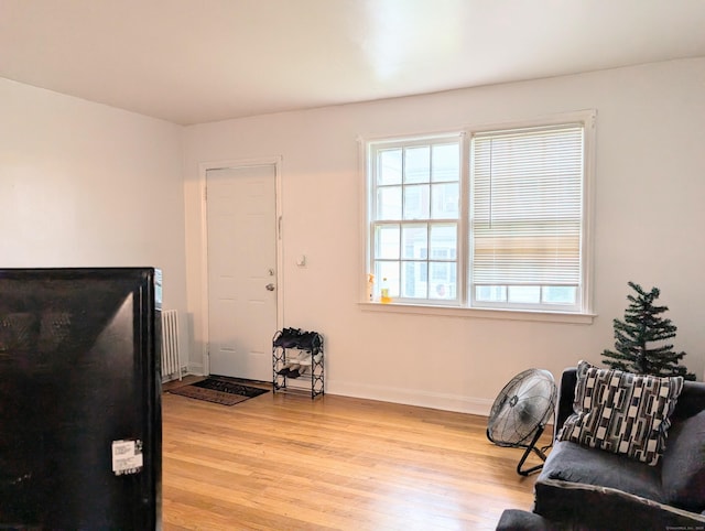 901 William St Apt A, Bridgeport, CT 06608 - living area with radiator heating unit and light wood-style floors