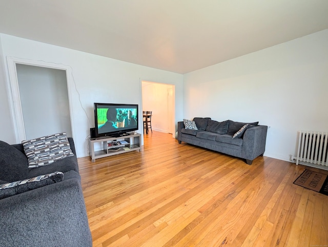 901 William St Apt A, Bridgeport, CT 06608 - living area featuring radiator heating unit and light wood finished floors