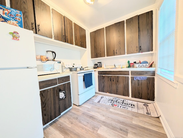 901 William St Apt A, Bridgeport, CT 06608 - kitchen featuring white appliances, light countertops, light wood-style flooring, and dark brown cabinets
