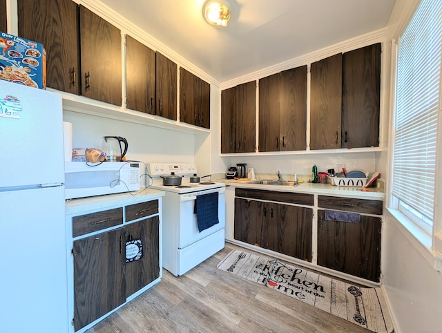 901 William St Apt A, Bridgeport, CT 06608 - kitchen with white appliances, dark brown cabinetry, and light countertops