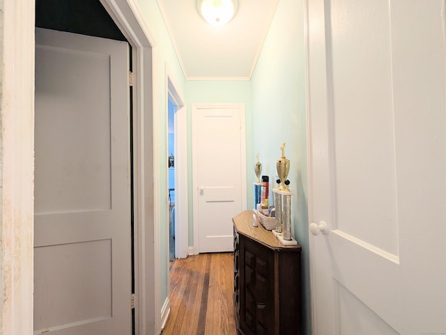 901 William St Apt B, Bridgeport, CT 06608 - hallway featuring wood finished floors and ornamental molding